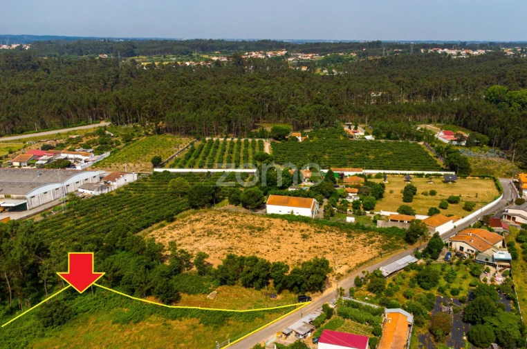 Terreno para Venda em Águeda e Borralha Foto 8