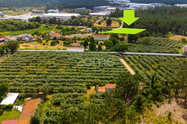 Terreno para Venda em Águeda e Borralha Foto 7