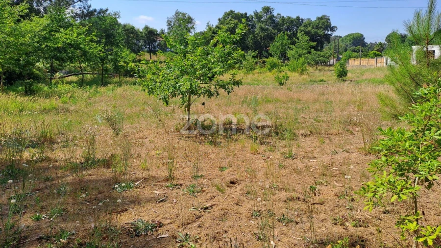 Terreno para Venda em Águeda e Borralha