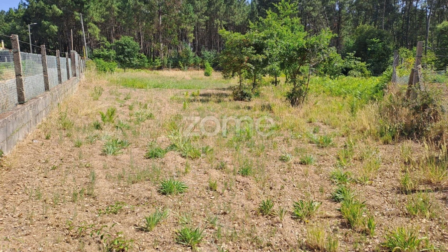 Terreno para Venda em Águeda e Borralha
