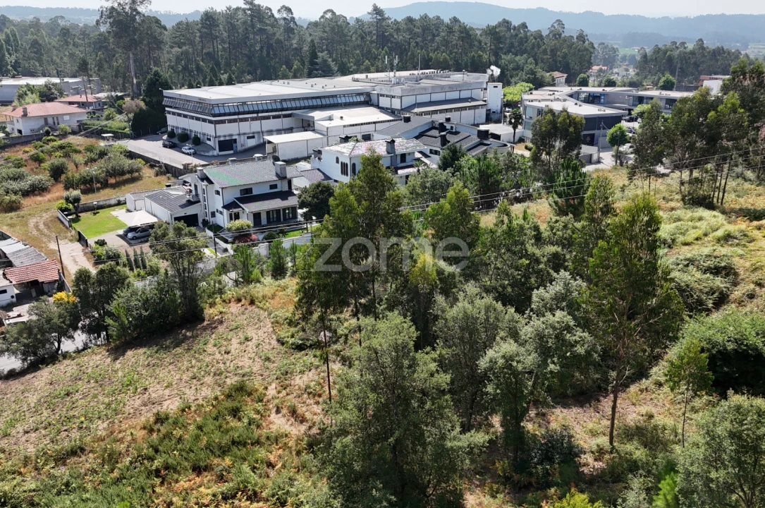 Terreno para Venda em Pereira Foto 10