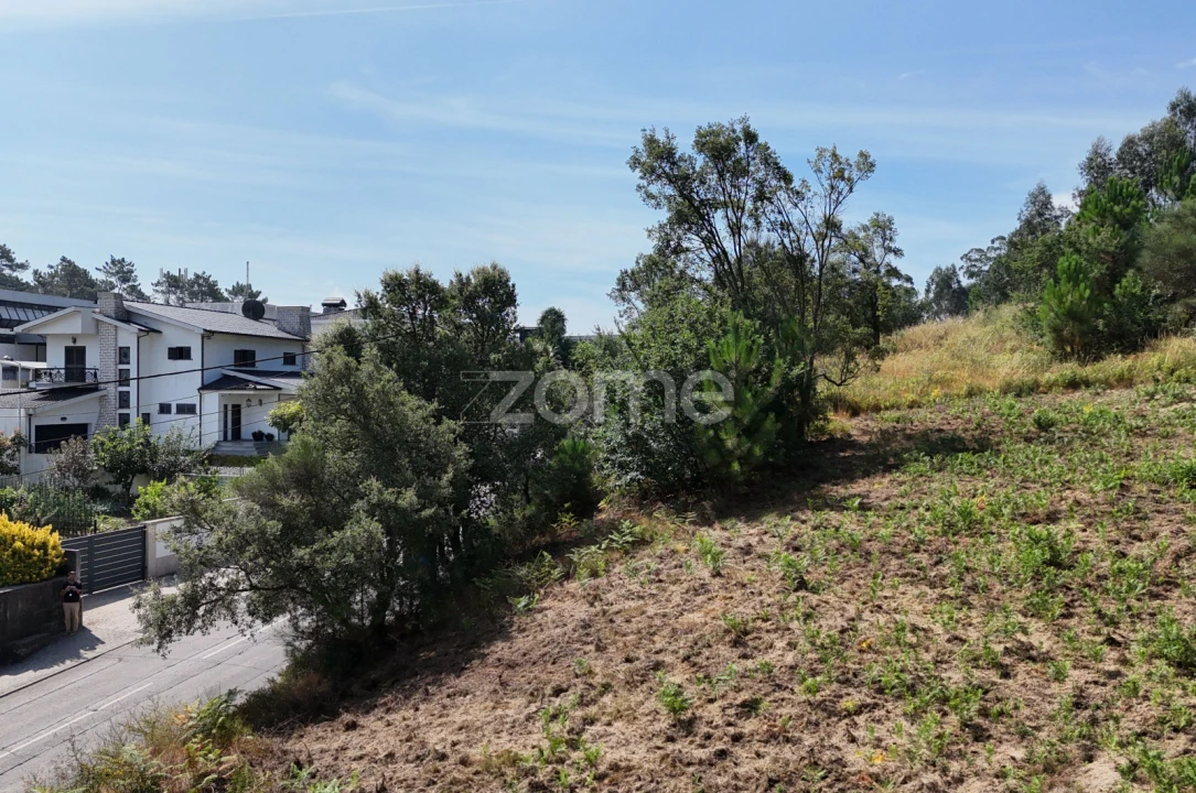 Terreno para Venda em Pereira Foto 5