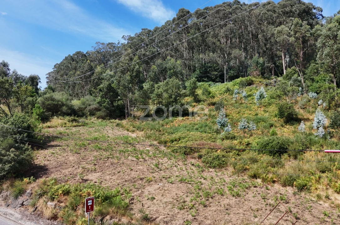 Terreno para Venda em Pereira Foto 1