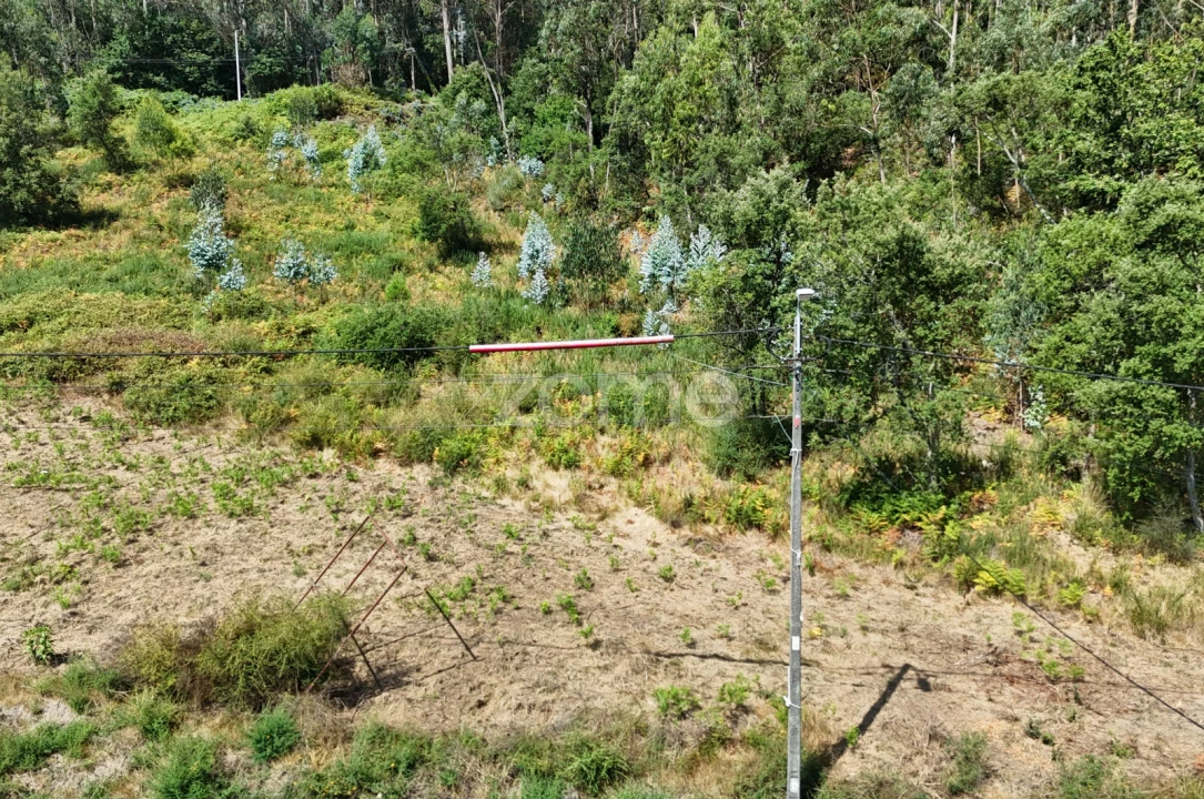Terreno para Venda em Pereira Foto 4