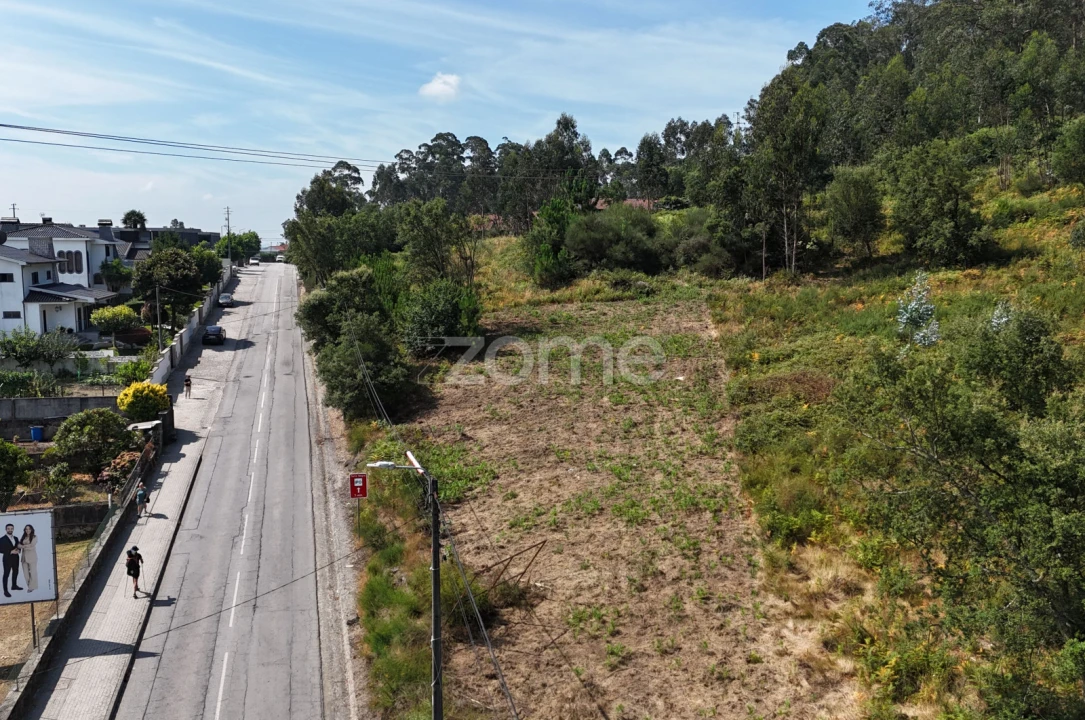 Terreno para Venda em Pereira Foto 11
