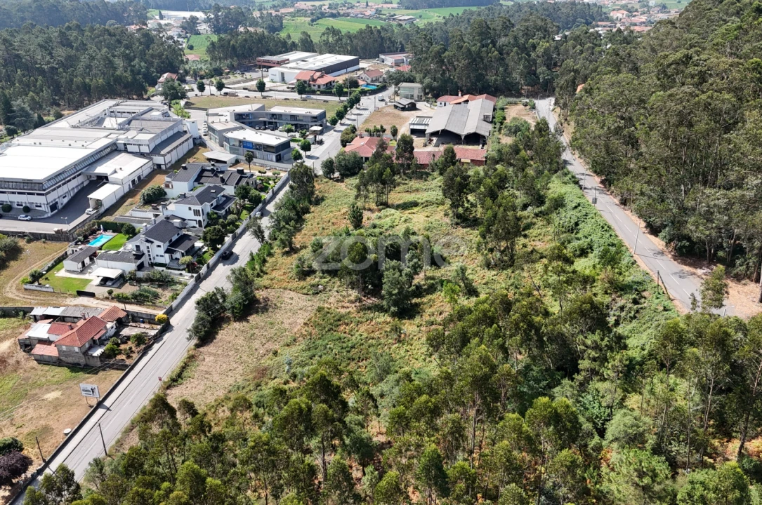 Terreno para Venda em Pereira Foto 3
