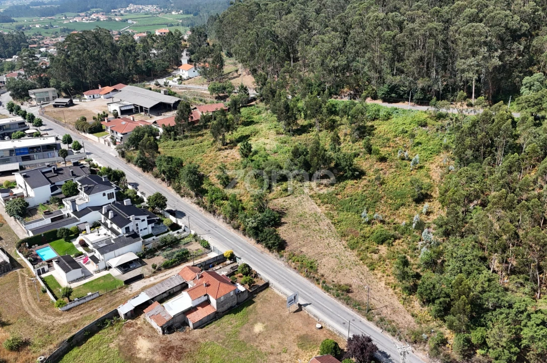 Terreno para Venda em Pereira Foto 13