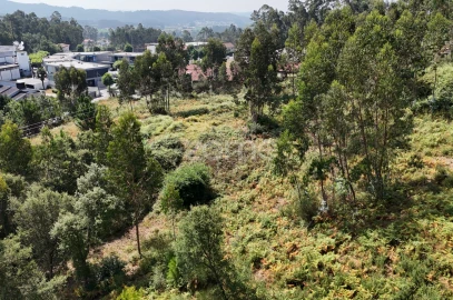 Terreno para Venda em Pereira