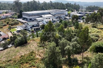 Terreno para Venda em Pereira