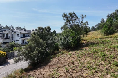 Terreno para Venda em Pereira