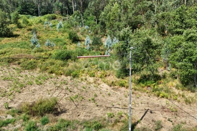 Terreno para Venda em Pereira
