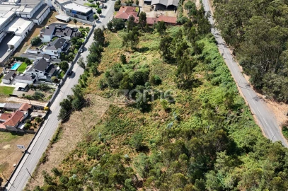 Terreno para Venda em Pereira