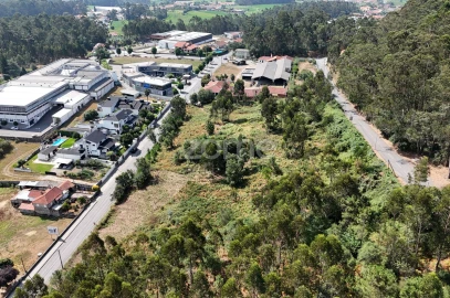 Terreno para Venda em Pereira