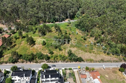 Terreno para Venda em Pereira