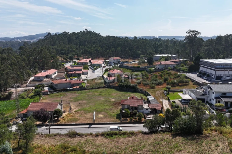 Terreno para Venda em Pereira Foto 9
