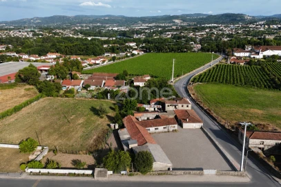 Terreno para Venda em Soutelo