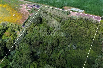 Terreno para Venda em Lomba de São Pedro