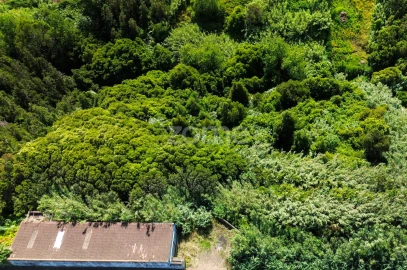 Terreno para Venda em Lomba de São Pedro