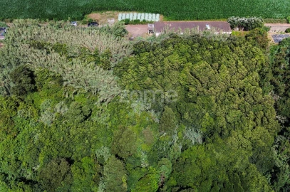 Terreno para Venda em Lomba de São Pedro