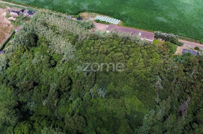 Terreno para Venda em Lomba de São Pedro