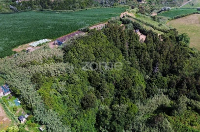 Terreno para Venda em Lomba de São Pedro