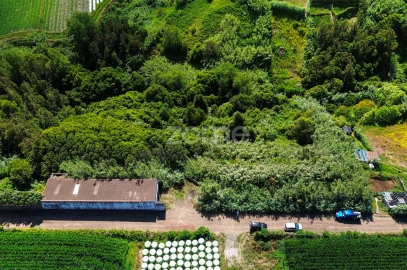 Terreno para Venda em Lomba de São Pedro