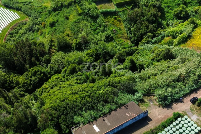 Terreno para Venda em Lomba de São Pedro Foto 4