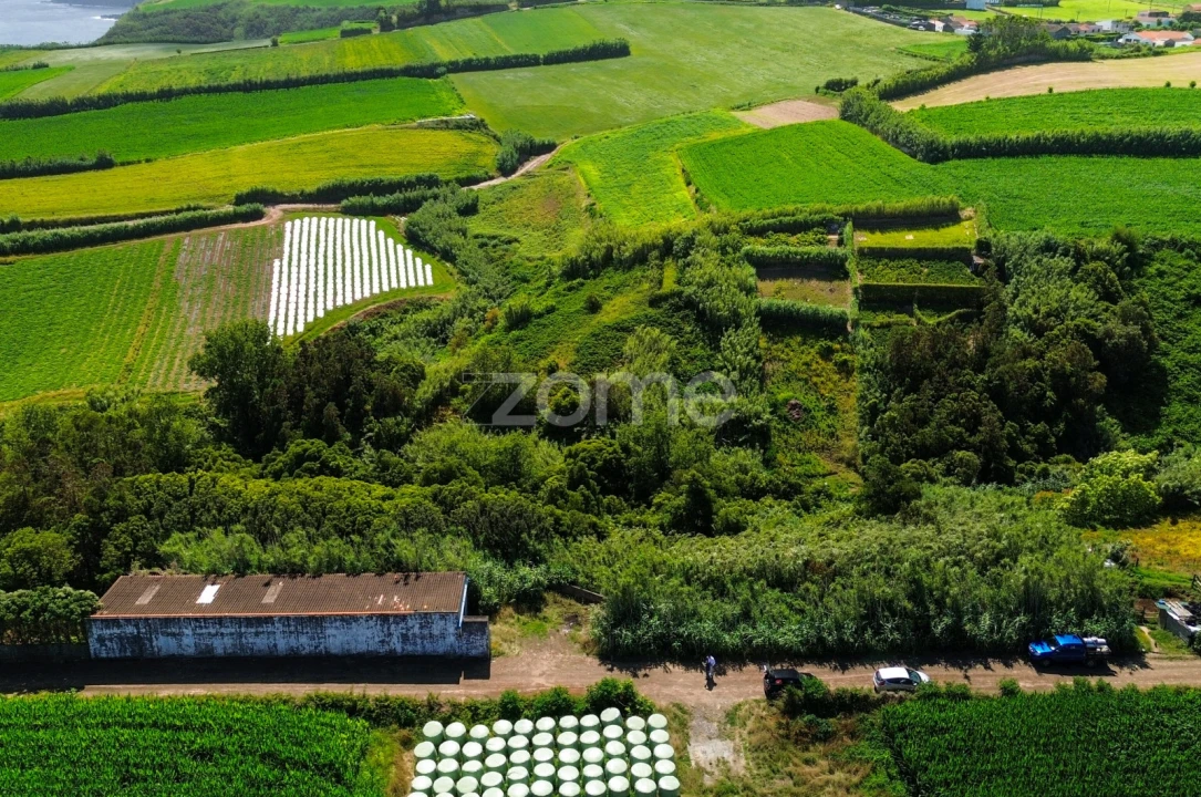 Terreno para Venda em Lomba de São Pedro Foto 2