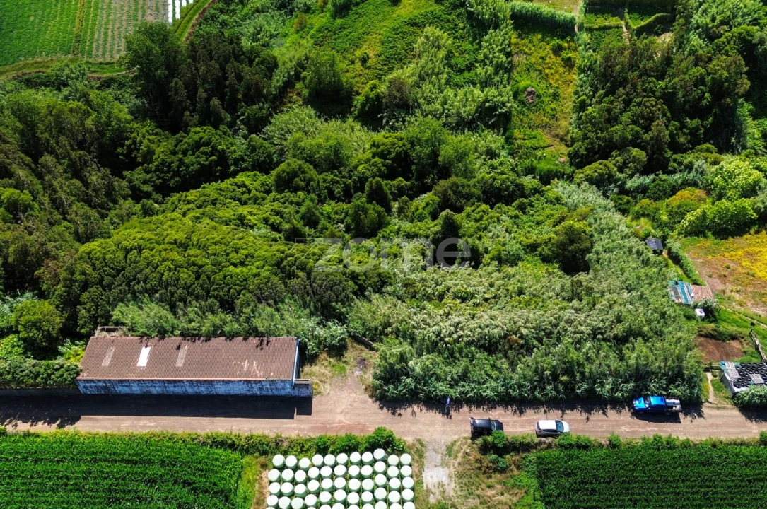 Terreno para Venda em Lomba de São Pedro Foto 3