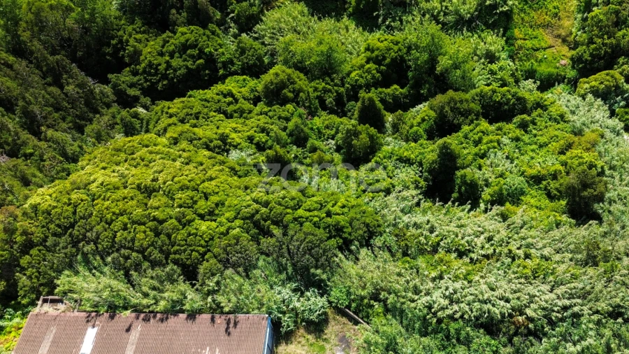 Terreno para Venda em Lomba de São Pedro