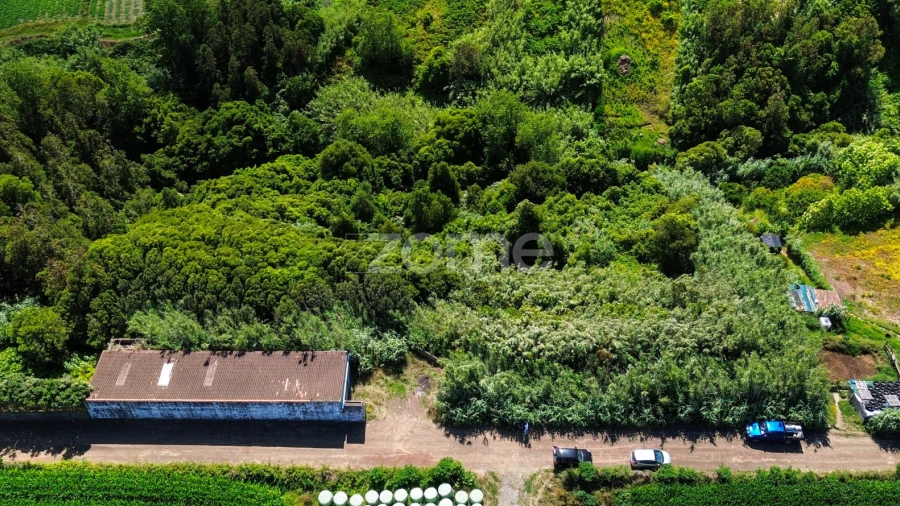 Terreno para Venda em Lomba de São Pedro