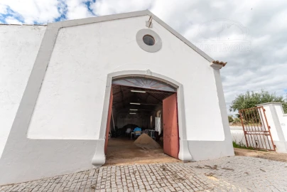 Quinta T9 para Venda em Assumar