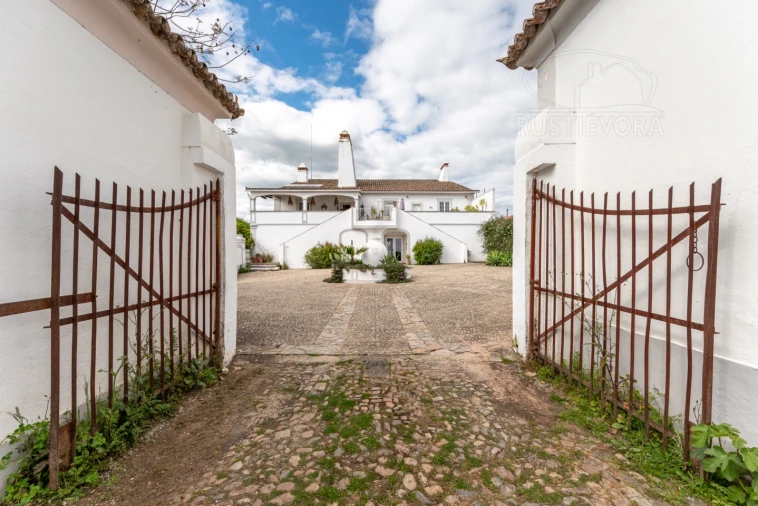 Quinta T9 para Venda em Assumar Foto 117