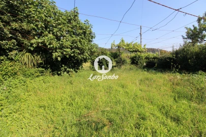 Moradia T3 para Venda em Airo