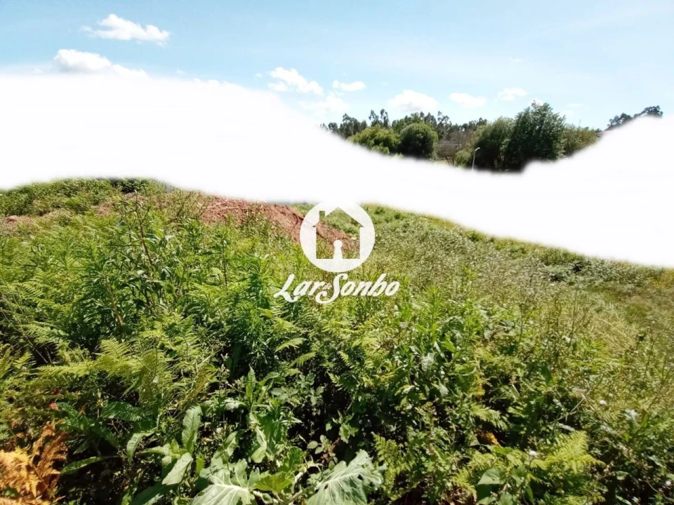 Terreno P/ Prédio para Venda em Lama Foto 6