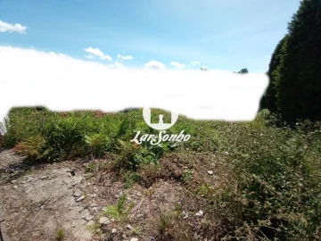 Terreno P/ Prédio para Venda em Lama