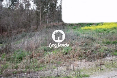 Terreno P/ Prédio para Venda em Lama