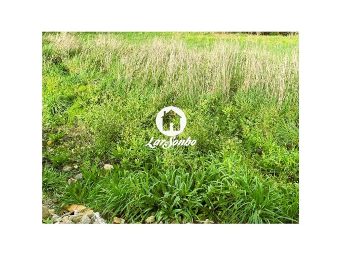 Terreno P/ Prédio para Venda em Lama Foto 2