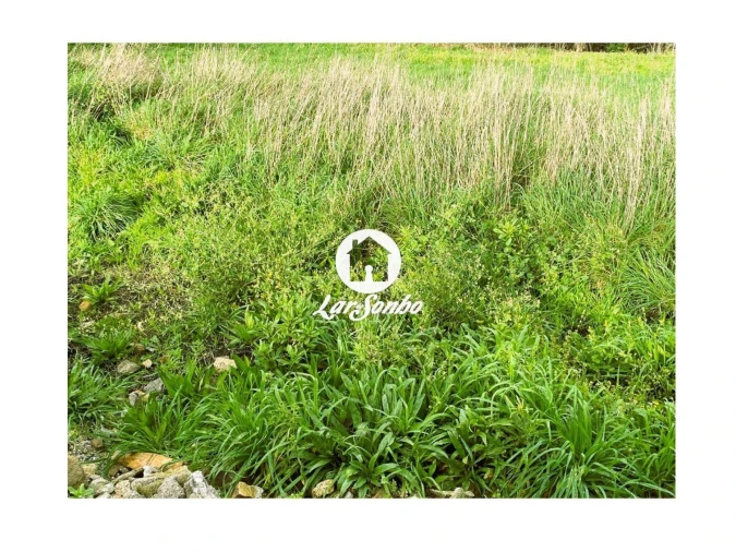 Terreno P/ Prédio para Venda em Lama Foto 3