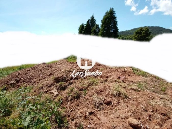 Terreno P/ Prédio para Venda em Lama Foto 7
