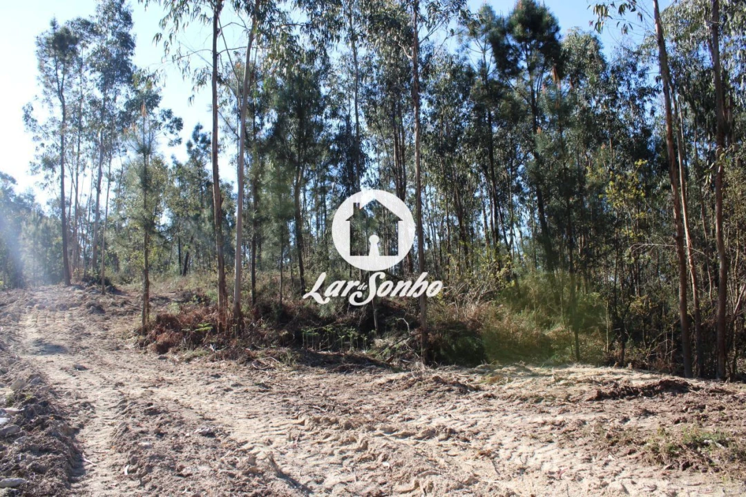 Terreno Agricola ou Rústico para Venda em Alvelos Foto 3