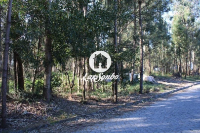 Terreno Agricola ou Rústico para Venda em Alvelos