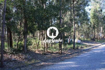 Terreno Agricola ou Rústico para Venda em Alvelos