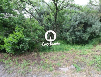 Terreno Agricola ou Rústico para Venda em Alvelos