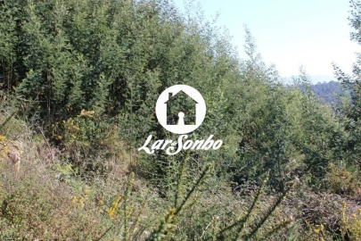 Terreno Agricola ou Rústico para Venda em Alvelos