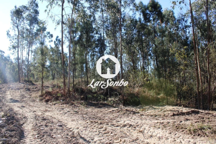 Terreno Agricola ou Rústico para Venda em Alvelos Foto 3