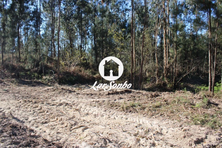 Terreno Agricola ou Rústico para Venda em Alvelos Foto 12