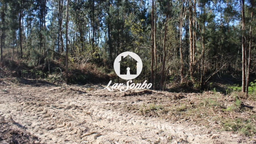 Terreno Agricola ou Rústico para Venda em Alvelos
