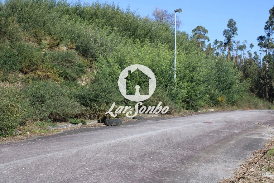 Terreno para Venda em Escariz (São Mamede) e Escariz (São Martinho) Foto 10