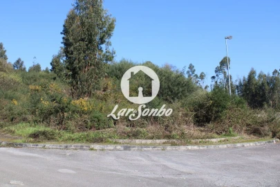 Terreno para Venda em Escariz (São Mamede) e Escariz (São Martinho)